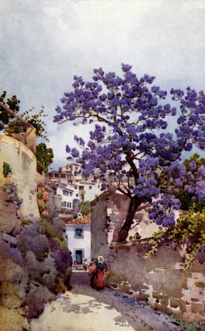 Jacarandaboom door Ella Du Cane