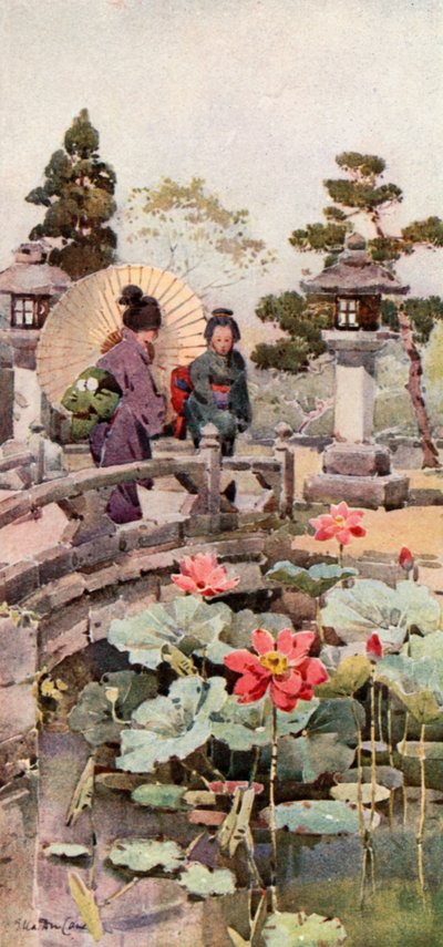 Lotusbloemen (kleurenlitho) door Ella Du Cane