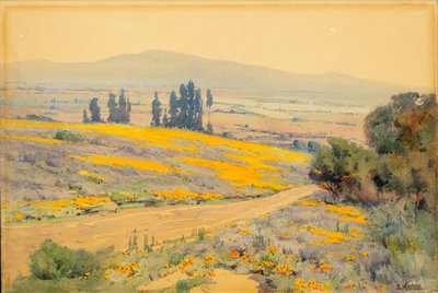 Californisch lentelandschap door Elmer Wachtel