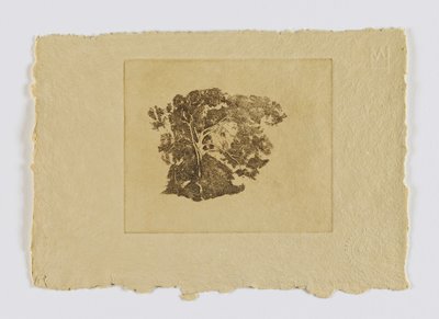 Bomenstudie (fm. portefeuille) door Emil Carlsen