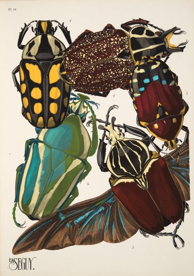 Plaat 11 uit Insectes, uitgegeven in de jaren 1930 door Émile Allain Séguy
