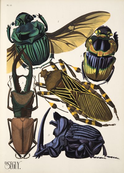 Plaat 15 uit Insectes, pub. 1930