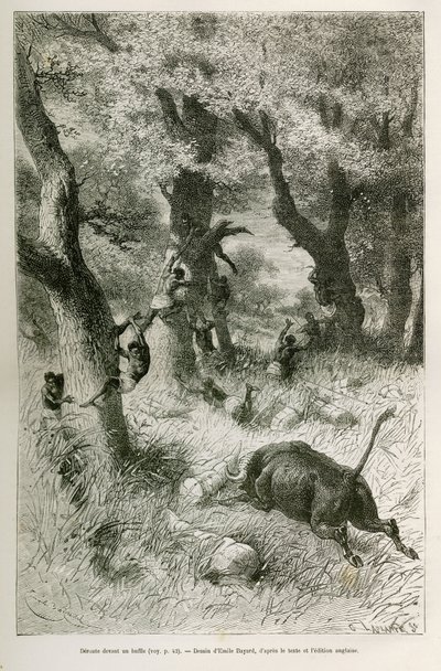 Ontsnapping van de expeditie voor de aanval van een buffel, tekening door Emile Bayard, ter illustratie van het verhaal: Dwars door Afrika, van Zanzibar (Tanzania) naar Benguela (Angola), van 1872 tot 1876, door luitenant V.H. Cameron. Gravure in Le tour d door Emile Antoine Bayard