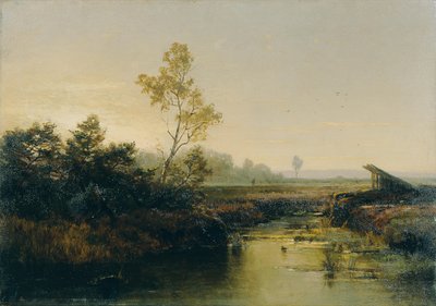 Moorlandschaft door Emilie Mediz Pelikan