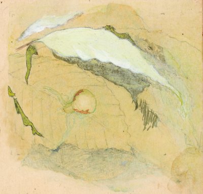 Porselein-Witte Spin door Emma Beach Thayer