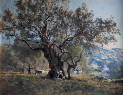 Olijfbomen in Vallonnet langs de weg door Emmanuel Lansyer