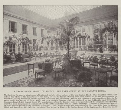 Een modieuze resort van vandaag, de Palm Court in het Carlton Hotel door English Photographer