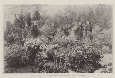 Een toevluchtsoord van vrede, de kloostertuin in Bloemfontein, gebruikt als ziekenhuis door English Photographer