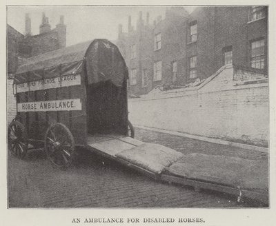 Een Ambulance voor Gehandicapte Paarden door English Photographer