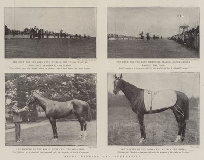 Ascot winnaars en runners-up door English Photographer