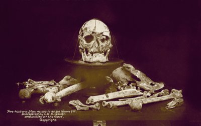 Botten van een prehistorische man van 40.000 tot 80.000 jaar oud ontdekt door A G H Gough (kleurenfoto) door English Photographer