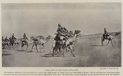 Kameelkorps bij Wadi Halfeh, Opper-Egypte door English Photographer