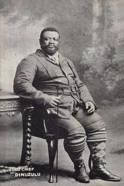 Cetshwayo kaMpande, Koning van de Zulu natie door English Photographer