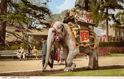 Kinderen genieten van een ritje op Rosie de olifant, Bristol Zoo door English Photographer