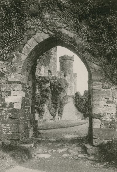 Kasteel Conway door English Photographer