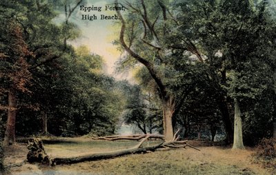 Epping Forest, High Beach door English Photographer