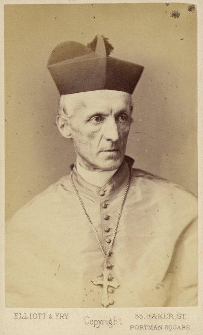 Henry Edward Manning door English Photographer