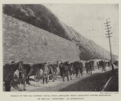 Paarden van de 79e Batterij Royal Field Artillery worden geoefend voor het inschepen op de SS Montford in Queenstown door English Photographer