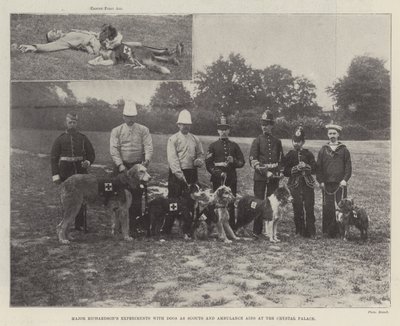 Experimenten van Majoor Richardson met Honden als Verkenners en Ambulancehulpen in het Crystal Palace door English Photographer