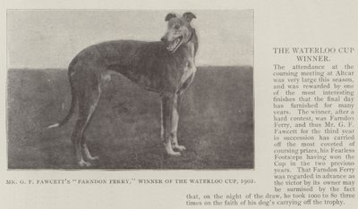 De heer G F Fawcetts Farndon Ferry, winnaar van de Waterloo Cup, 1902 door English Photographer