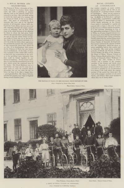 Royals in Denemarken door English Photographer
