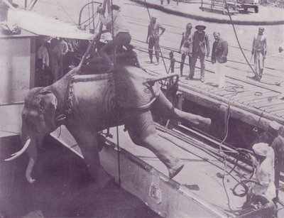 Een Olifant Laden, Rangoon door English Photographer