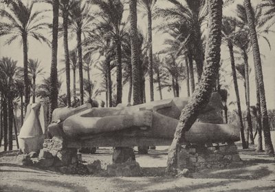 Standbeeld van Ramses II, liggend in de stad waarvan Jeremia zei dat ze zonder inwoners zou zijn door English Photographer