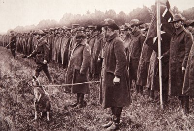 De Anzac-review op Salisbury Plain: een Australische mascotte door English Photographer