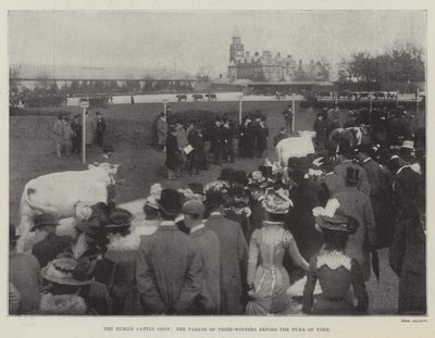 De Dublin Cattle Show, de parade van prijswinnaars voor de hertog van York door English Photographer