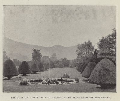 Het Bezoek van de Hertog van York aan Wales, in de Tuinen van Gwydyr Castle door English Photographer