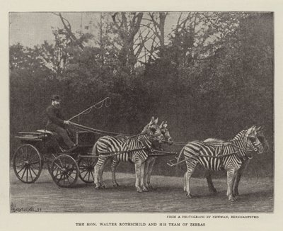 De Eerwaarde Walter Rothschild en zijn Team van Zebra
