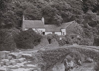De oude molen, Jesmond Dene door English Photographer