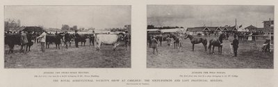 De Tentoonstelling van de Koninklijke Landbouwmaatschappij in Carlisle, de Vierenzestigste en Laatste Provinciale Bijeenkomst door English Photographer