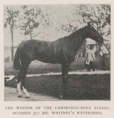 De Winnaar van de Cambridgeshire Stakes, 30 oktober, Mr Whitneys Watershed door English Photographer