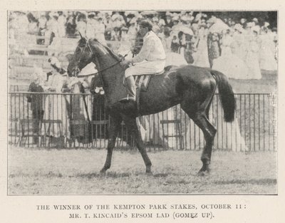 De winnaar van de Kempton Park Stakes, 11 oktober, Mr T Kincaids Epsom Lad (Gomez op) door English Photographer