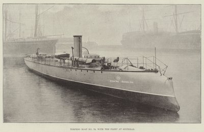Torpedoboot nr. 79, met de Vloot bij Spithead door English Photographer