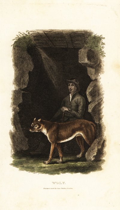 18e-eeuwse Engelse heer en zijn tamme wolf, Canis lupus, bij de ingang van een grot door English School