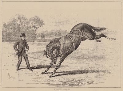 Een zenuwachtige jongere (gravure) door English School