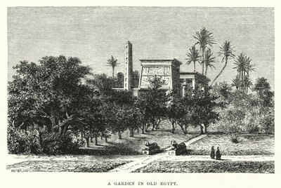 Een tuin in het oude Egypte (gravure) door English School