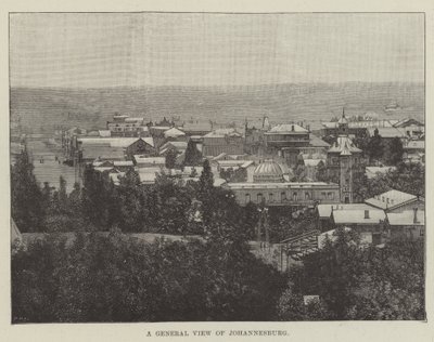 Een algemeen overzicht van Johannesburg (gravure) door English School