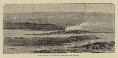 Een Heet Bron in een Rivier in Reykholtsdalur, IJsland door English School