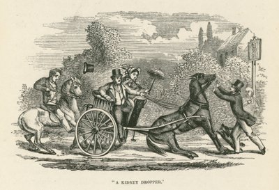 "Een nierdruppelaar" (gravure) door English School
