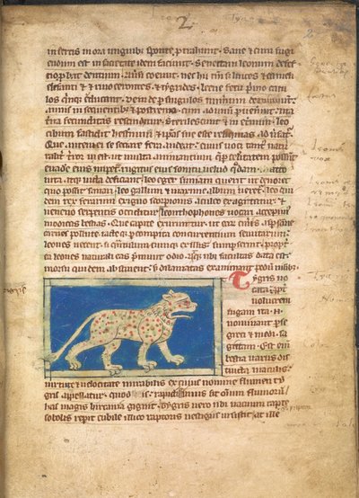 Een tijger, uit Sloane 3544, f.2 door English School