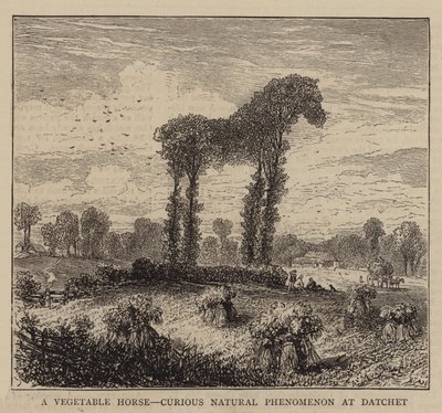 Een plantaardig paard, merkwaardig natuurverschijnsel in Datchet (gravure) door English School