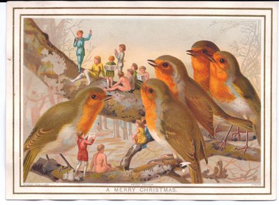 Een Victoriaanse kerstkaart van vijf roodborstjes die op een tak zitten en luisteren naar een feeënband, ca. 1880 door English School