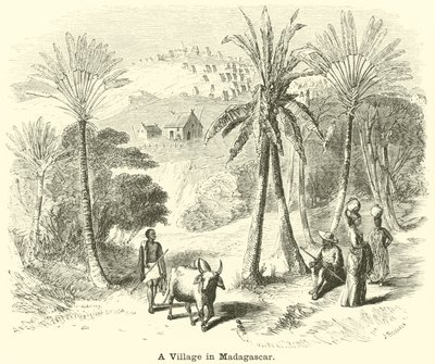 Een Dorp in Madagaskar door English School