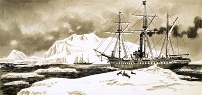 Een schip stoomt tussen de gletsjers van het Noordpoolgebied door English School