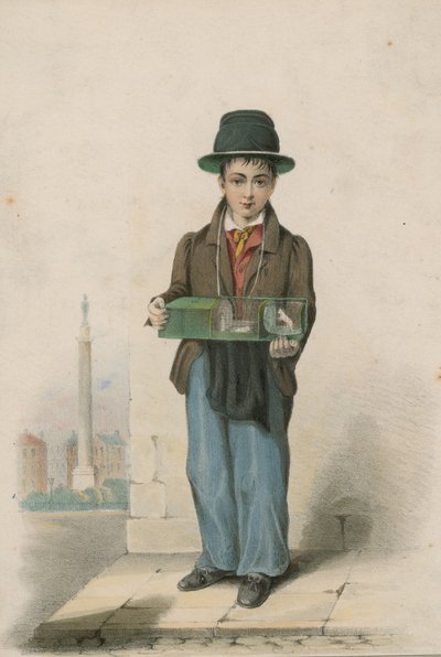 Een jonge jongen met een kooi met witte muizen door English School