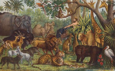 Adam die de dieren benoemt door English School