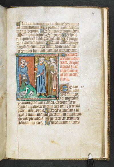 Add MS 47680, f.65r Aristoteles wijst naar vogels die naar de koning worden gebracht, uit Secretum Secretorum, c.1326-27 (perkament) door English School